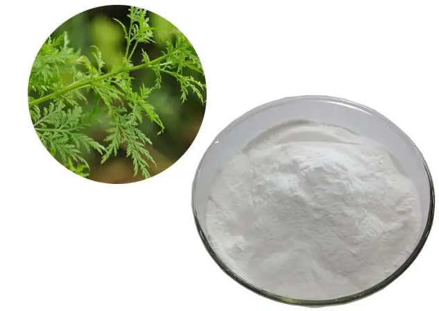 青蒿提取物,Artemisia annua Extract