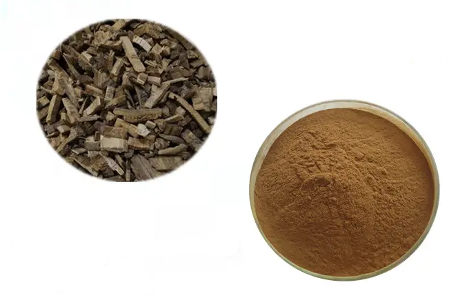 榆树皮提取物,Elm Bark Extract