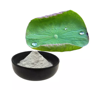 荷叶提取物,Lotus Leaf Extract