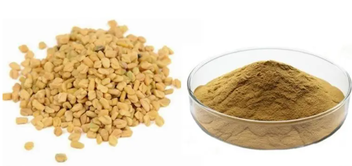 葫芦巴提取物,Fenugreek Extract