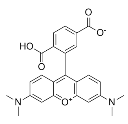 6-羧基四甲基罗丹明,6-Carboxytetramethylrhodamine