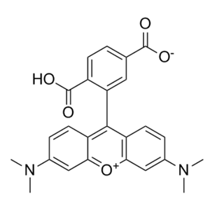 6-羧基四甲基罗丹明,6-Carboxytetramethylrhodamine