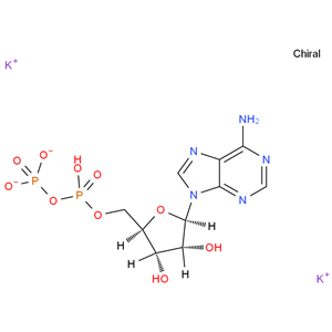 腺苷-5'-二磷酸二钾盐;5-二磷酸腺苷二钾盐; 二磷酸腺苷二钾盐