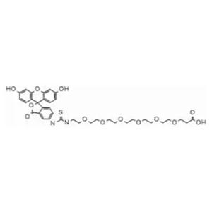 Fluorescein-PEG6-COOH，2055014-69-0，荧光素-六聚乙二醇-羧基