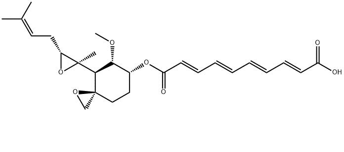 烟曲霉素,Fumagillin