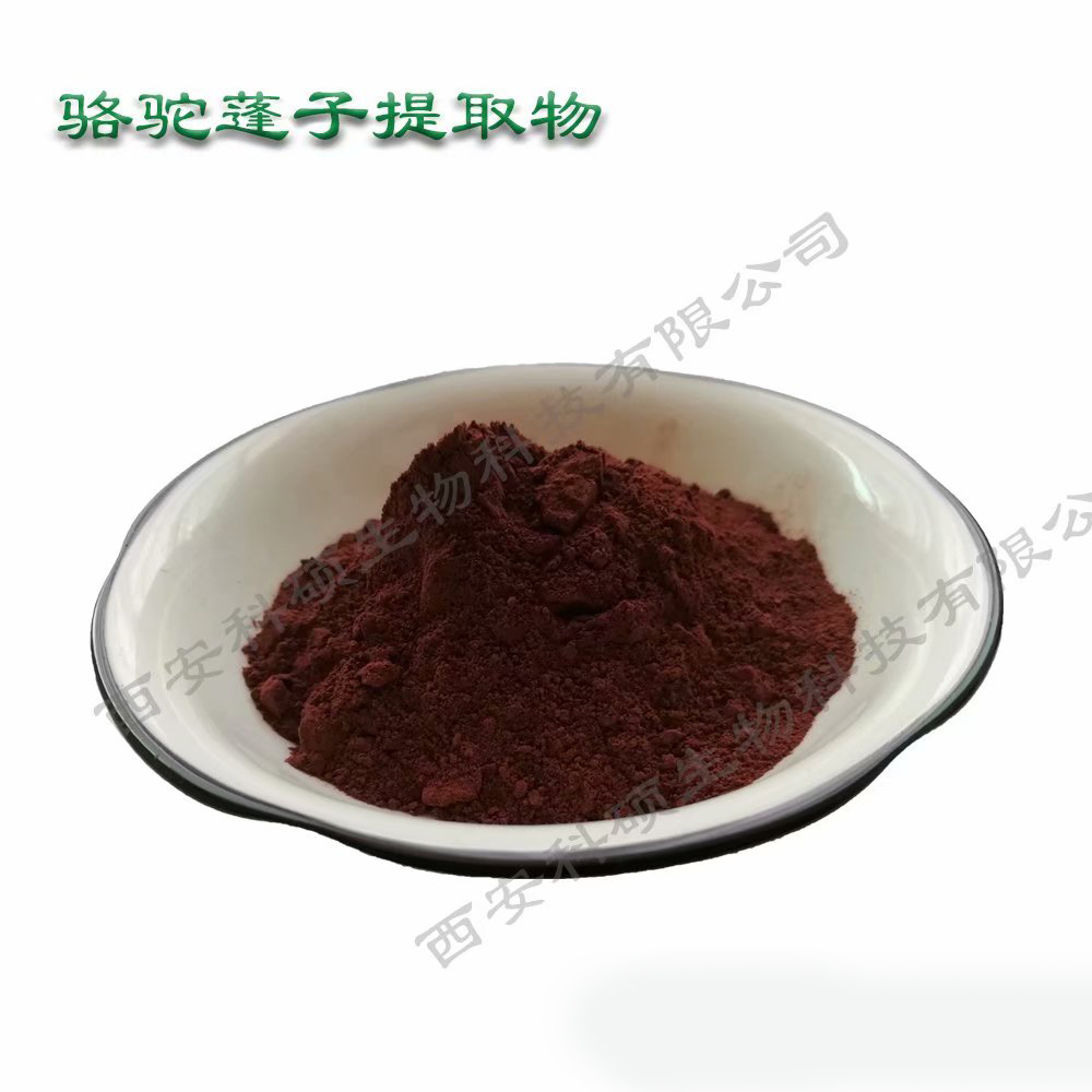 骆驼蓬提取物,Peganum extract