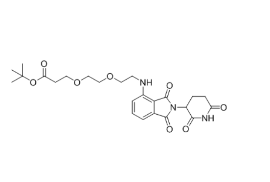 Thalidomide-4-NH-PEG2-COO(t-Bu)