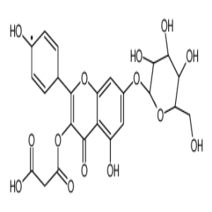 芹菜素-7-O-(6”-O-丙二酸单酰)-β-D-葡萄糖苷,Apigenin-7-O-6''-Malonylglucoside