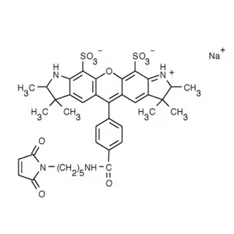 AF532 C5马来酰亚胺,AF532 C5 Maleimide