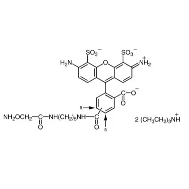 AF488 羟胺,AF488 Hydroxylamine