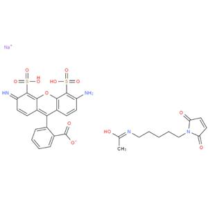 AF488 C5马来酰亚胺,AF488 C5 Maleimide