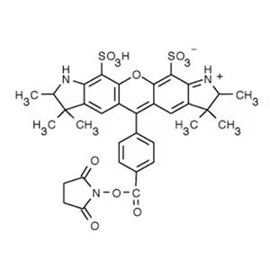 AF532 NHS Ester，AF532 SE，AF532琥珀酰亞胺酯