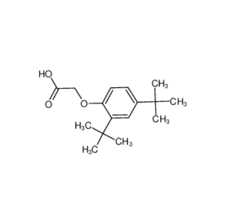 2-(2,4-二叔丁基苯氧基)乙酸,(2,4-DI-TERT-BUTYLPHENOXY)ACETIC ACID