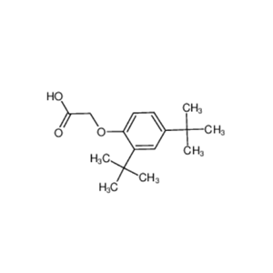 2-(2,4-二叔丁基苯氧基)乙酸,(2,4-DI-TERT-BUTYLPHENOXY)ACETIC ACID