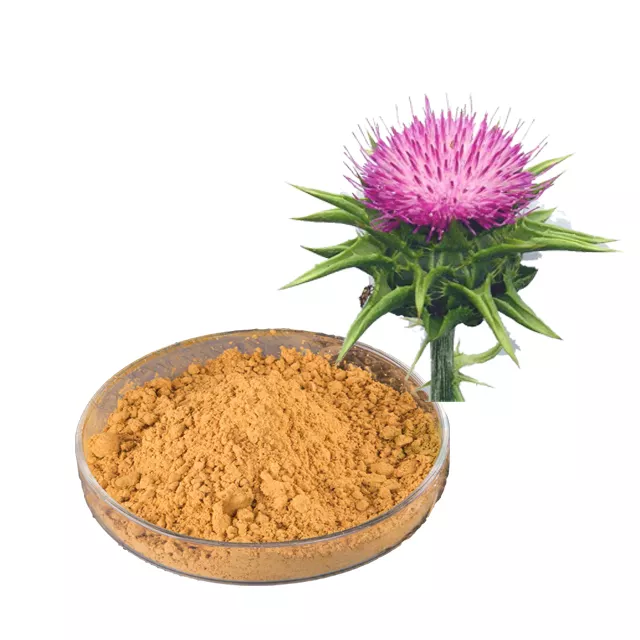 水飞蓟提取物,Silymarin powder Milk thistle extract Silybin powder