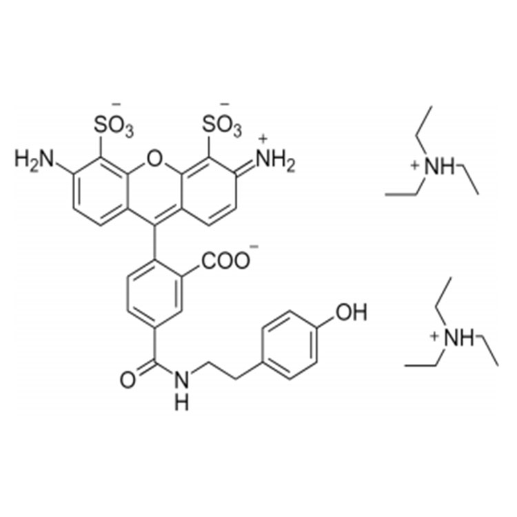 AF488 酪胺,AF488 tyramide