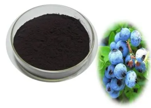蓝莓提取物,Blueberyy extract