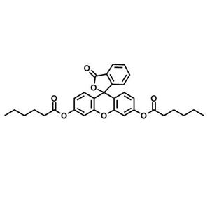 3-Oxo-3H-spiro[isobenzofuran-1,9