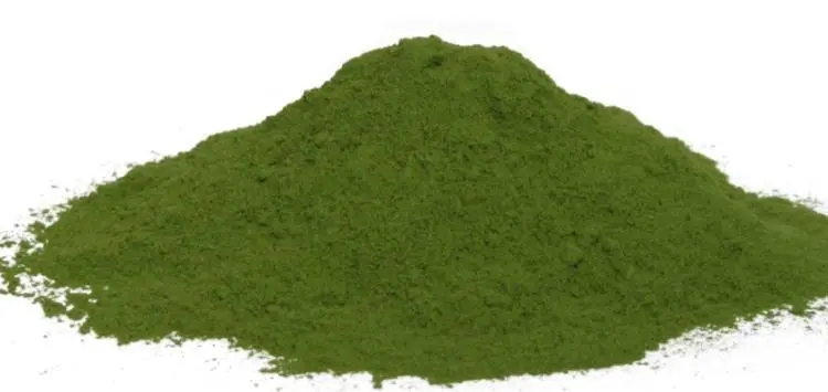 菠菜粉提取物,Green Fine Powder