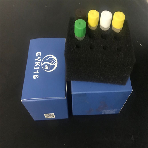 PCR试剂盒说明书