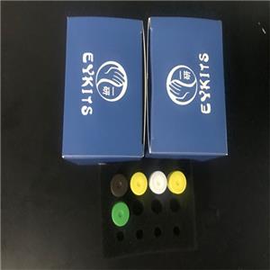 PCR检测试剂盒