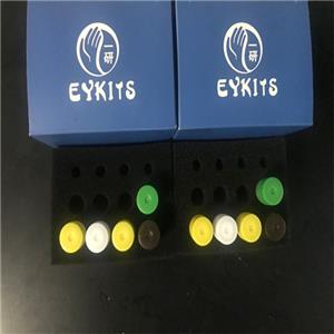 ELISA试剂盒雌激素