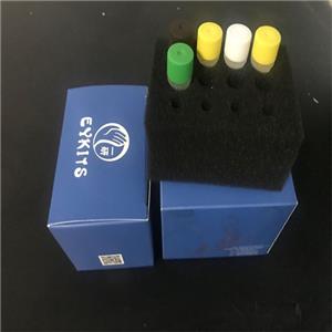 PCR?核酸檢測試劑盒