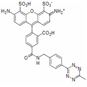 AF488 tetrazine，AF488四嗪