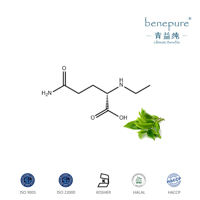 L-茶氨酸,L-THEANINE