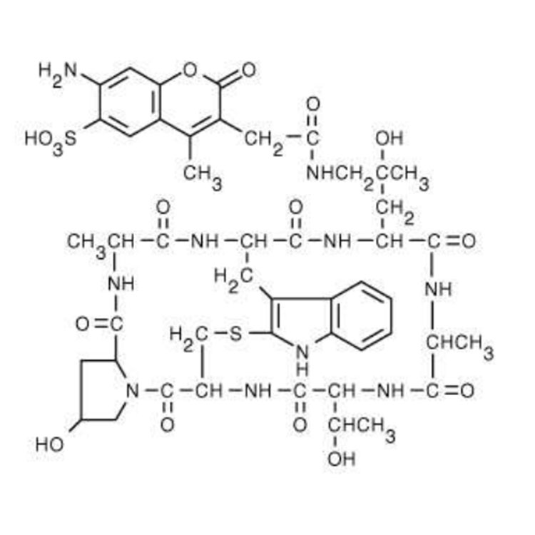 AF350 鬼笔环肽,Phalloidin-AF350;AF350 Phalloidin