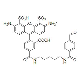 AF488 醛,AF488 aldehyde