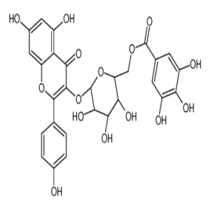 山奈酚 3-O-(6''-没食子酰基)-β-D-吡喃葡萄糖苷,Astragalin 6''-O-gallate; Kaempferol 3-O-(6''-O-galloyl)-glucoside
