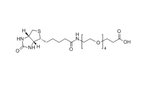 Biotin-PEG4-COOH