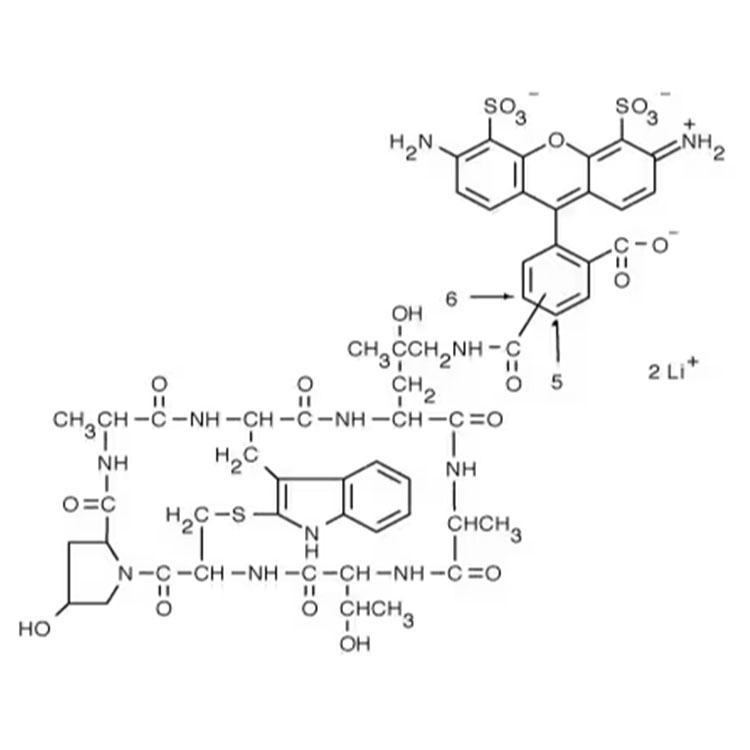 鬼笔环肽-AF488标记,Phalloidin-AF488;AF488 Phalloidin