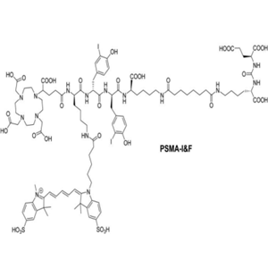 PSMA I＆F