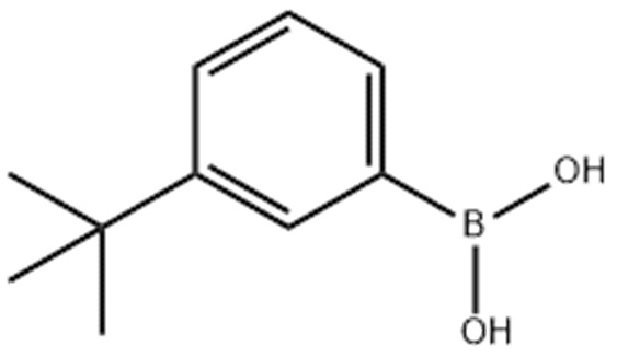 3-叔丁基苯硼酸,3-tert-Butylphenylboronic acid