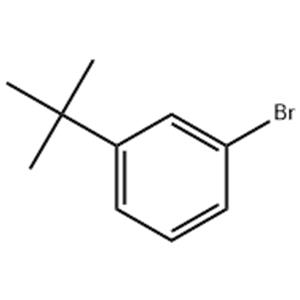 1-溴-3-叔丁基苯 3972-64-3 现货，大量供应，量大从优，可适当分装，质量保证，稳定供应