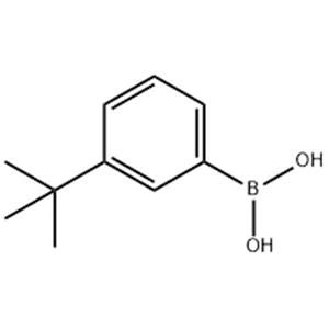 3-叔丁基苯硼酸,3-tert-Butylphenylboronic acid