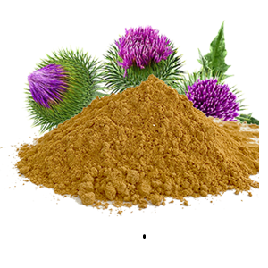 水飛薊素,Milk Thistle Seed Extract (Silymarin 80% by UV)