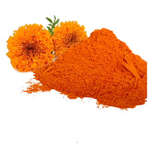 葉黃素,Marigold Flower Extract (Lutein 5%)