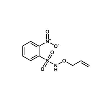 N-(烯丙氧基)-2-硝基苯磺酰胺,N-(Allyloxy)-2-nitrobenzenesulfonaMide