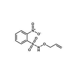 N-(烯丙氧基)-2-硝基苯磺酰胺