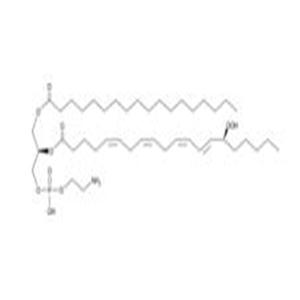 1-Stearoyl-2-15(S)-HpETE-sn-glycero-3-PE