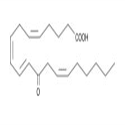 12-OxoETE,12-OxoETE