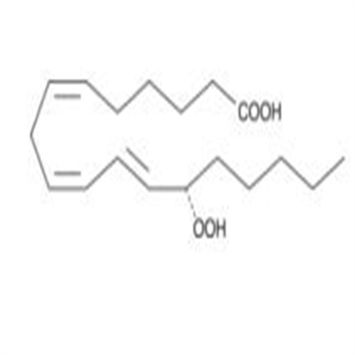 13(S)-HpOTrE(γ),13(S)-HpOTrE(γ)