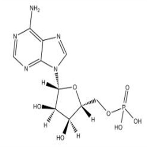 Adenosine 5-monophosphate,Adenosine 5-monophosphate