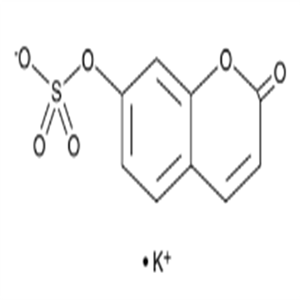 7-hydroxy Coumarin sulfate (potassium salt)