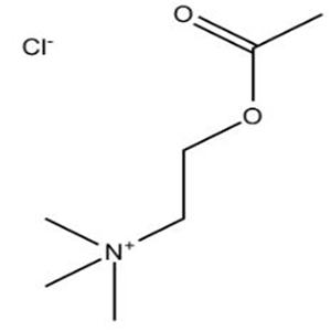 362049-62-5Acetylcholine Chloride