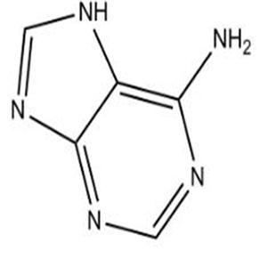 73-24-5Adenine