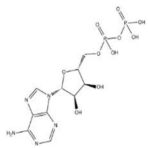 58-64-0Adenosine-5'-diphosphate